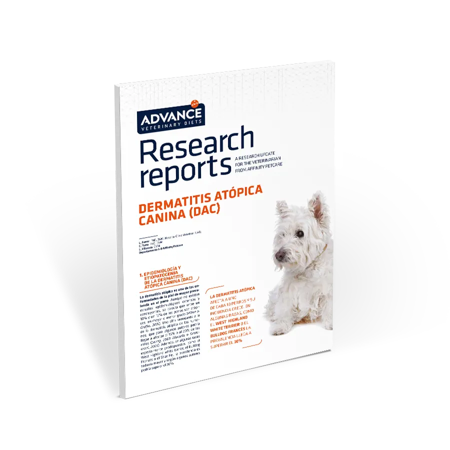 dermatitis-atopica-canina