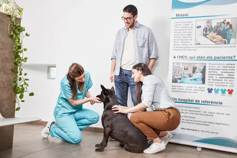 Cursos de psicologia canina. Em que consistem e qual o seu valor