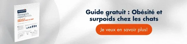 Rapport: Obésité et surpoids chez les chats - Comment combattre la maladie Rapport: Obésité et surpoids chez les chats - Comment combattre la maladie