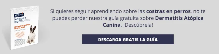 Nueva llamada a la acción Nueva llamada a la acción