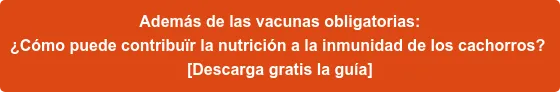 Además de las vacunas obligatorias: ¿Cómo puede contribuïr la nutrición a la inmunidad de los cachorros? [Descarga gratis la guía]