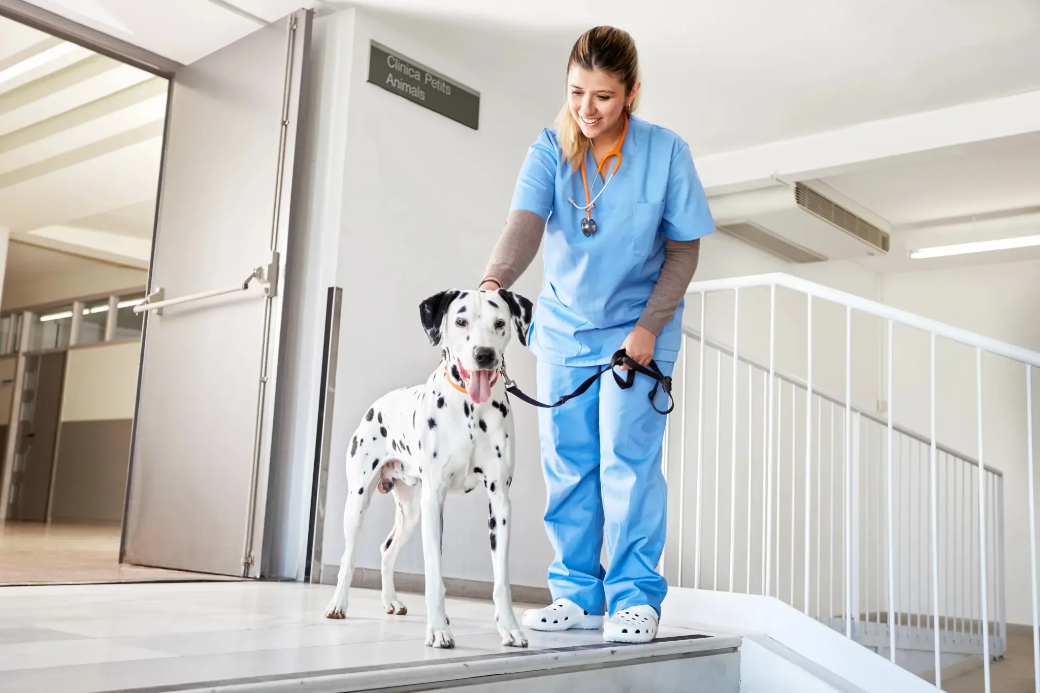 Trattamento alimentare della leishmaniosi nel cane