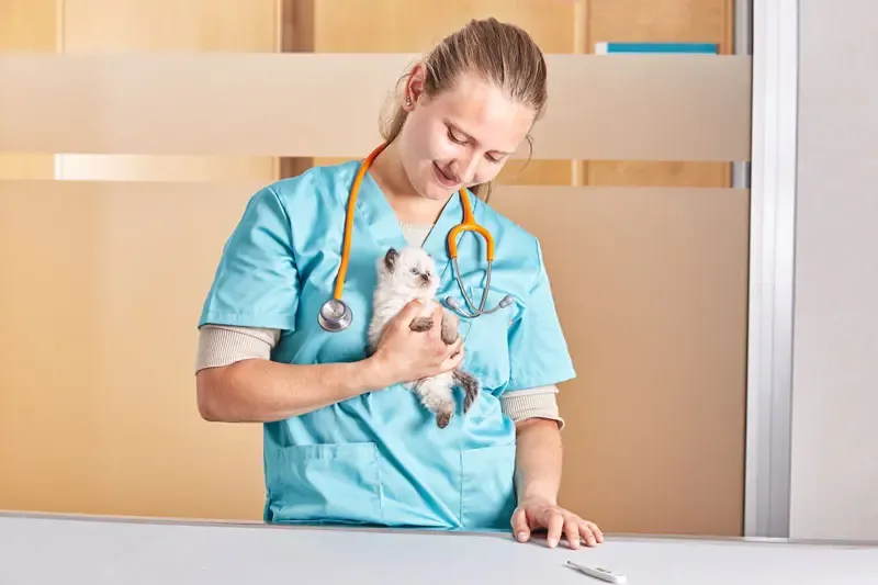 Evidencia científica del uso de probióticos en gatos