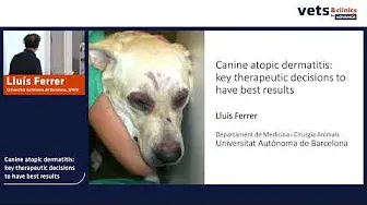 16. INT - Canine Atopic Dermatitis