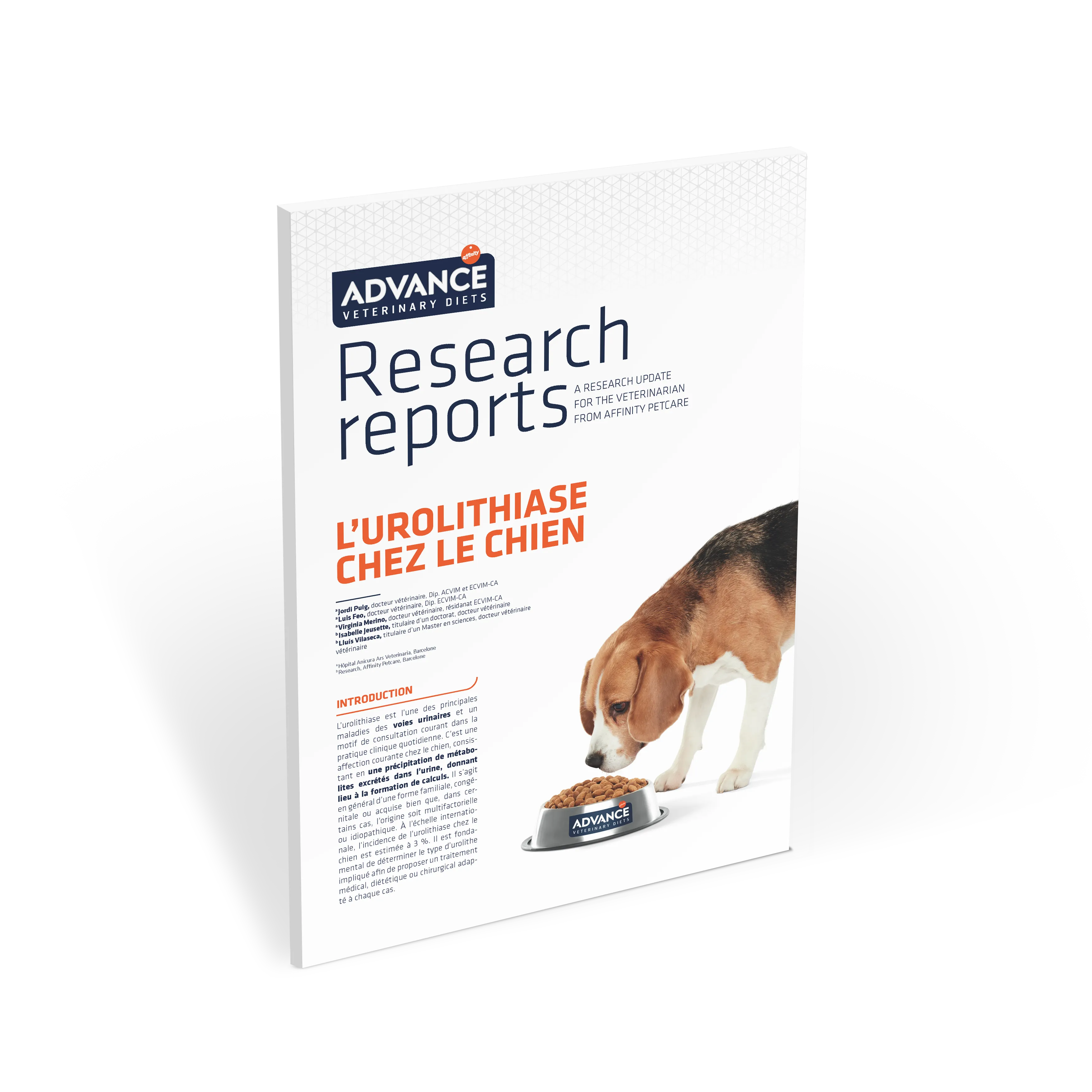 urolithiase-chez-le-chien