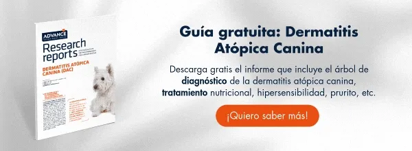 dermatitis atópica dermatitis atópica