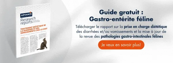 New call-to-action New call-to-action