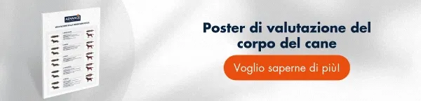Consulta GRATUITAMENTE il poster di valutazione delle condizioni fisiche per stabilire la condizione ideale di ogni cane Consulta GRATUITAMENTE il poster di valutazione delle condizioni fisiche per stabilire la condizione ideale di ogni cane