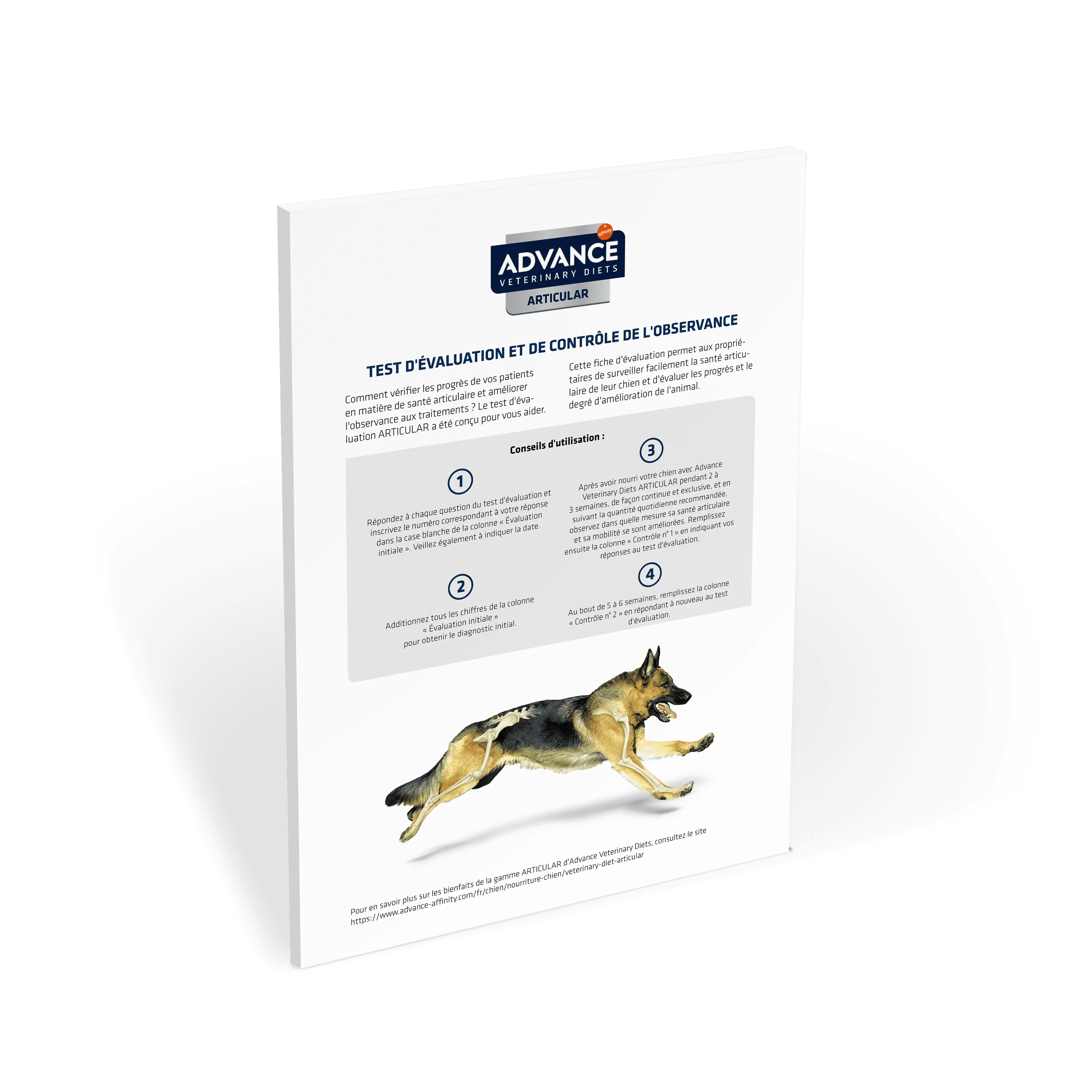 Miniatura_Test de Movilidad_AFFINITY_A4_090919B-1 Miniatura_Test de Movilidad_AFFINITY_A4_090919B-1