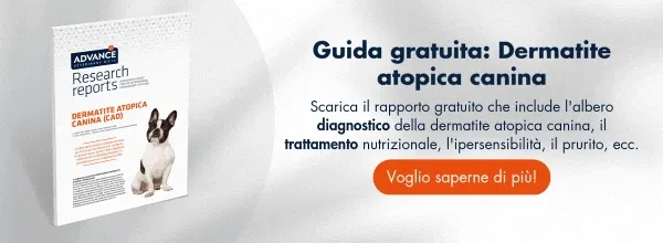 Dermatite atopica canina