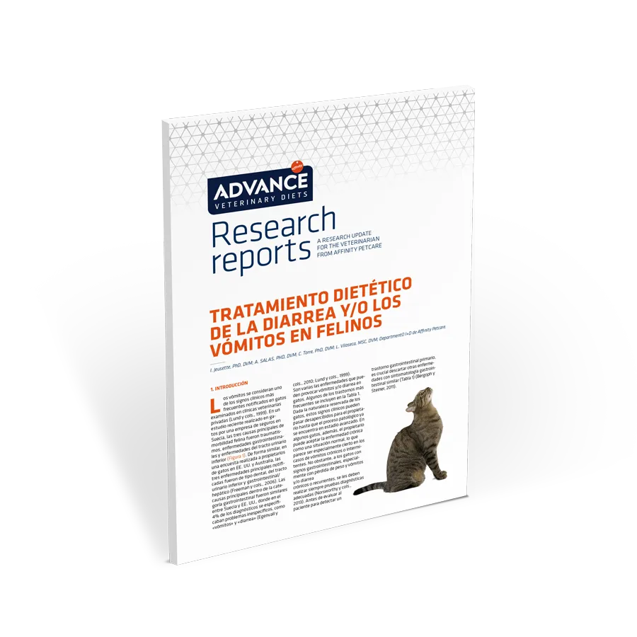 gastroenteric-feline gastroenteric-feline