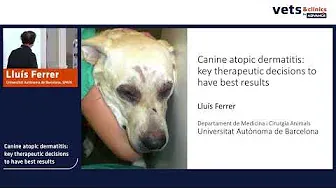 16. INT - Canine Atopic Dermatitis