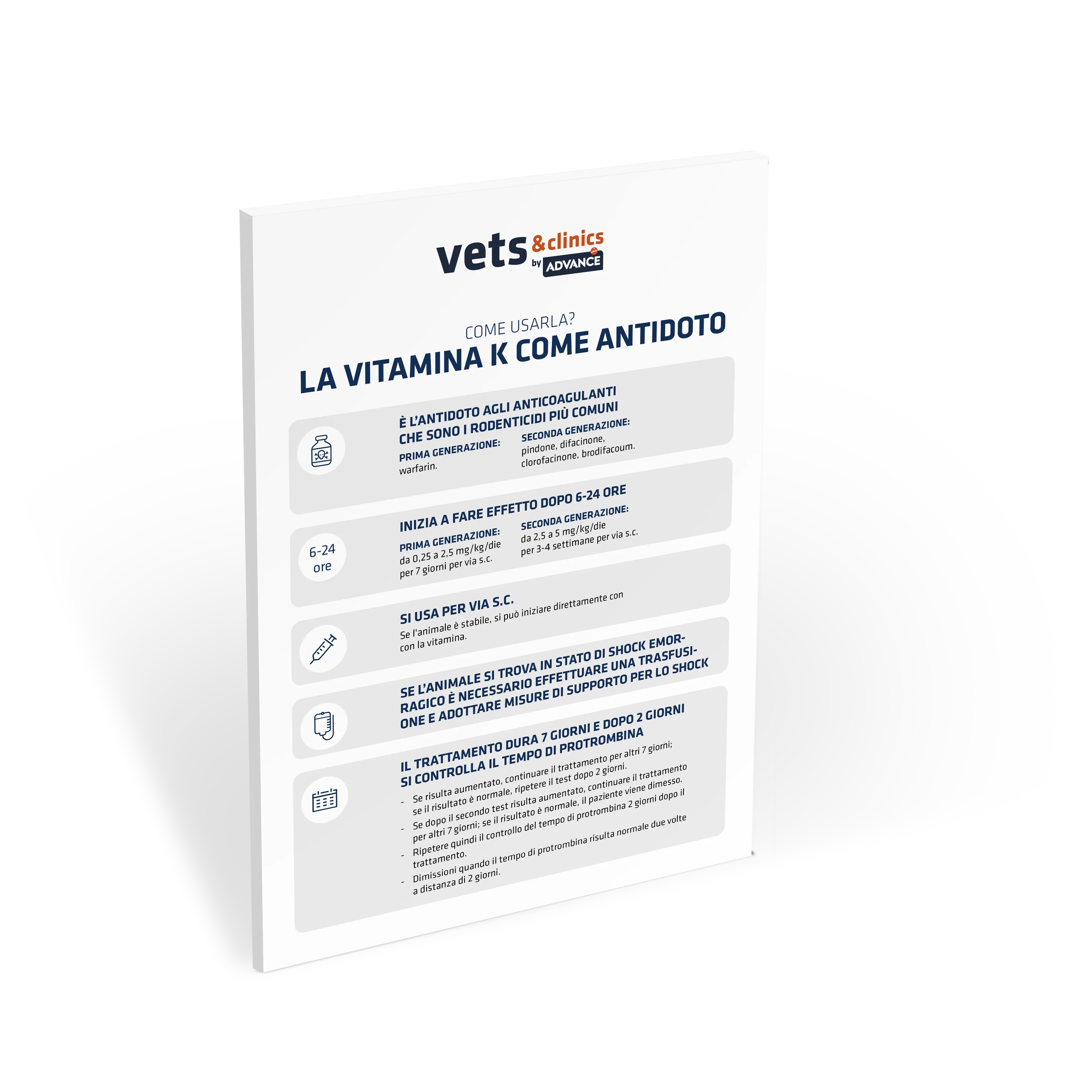 Miniatura_Infografia_AFFINITY_Vitamina_K_IT Miniatura_Infografia_AFFINITY_Vitamina_K_IT