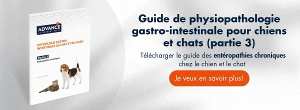 Nueva llamada a la acción Nueva llamada a la acción