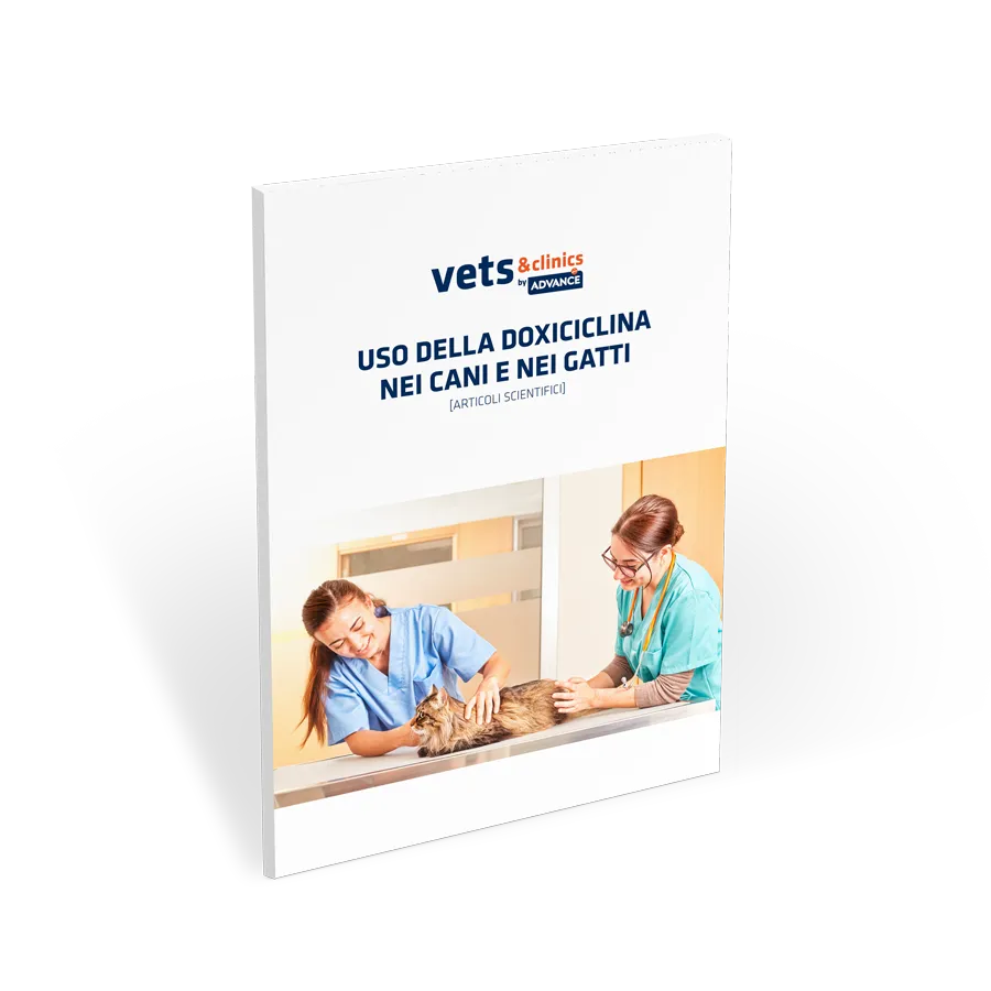 doxiciclina-cani-gatti doxiciclina-cani-gatti