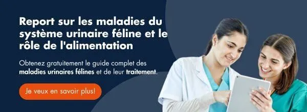 ↓Téléchargez gratuitement ici↓ Rapport sur les maladies du système urinaire féline