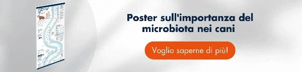 Nueva llamada a la acción Nueva llamada a la acción