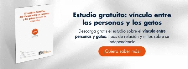 vínculo entre personas y mascotas vínculo entre personas y mascotas
