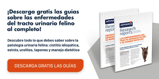 RR Urinary Feline parte 1 y 2