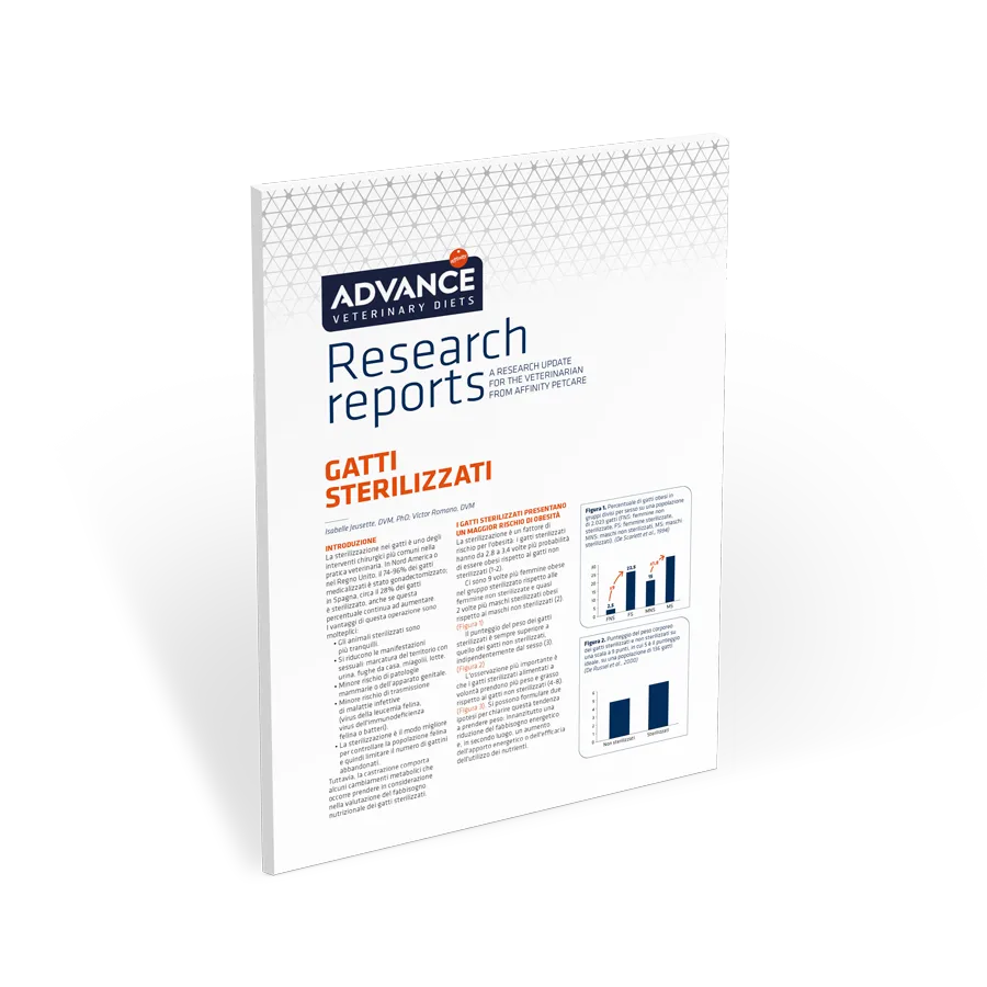 gatti-sterilizzati gatti-sterilizzati