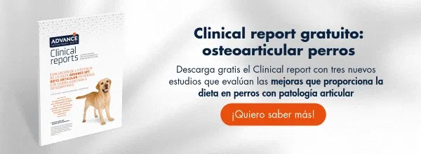 CR Articular perros CR Articular perros