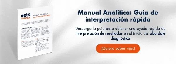 New call-to-action New call-to-action