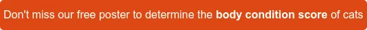 Don't miss our free poster to determine the body condition score of cats