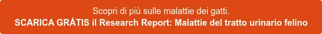 Scopri di più sulle malattie dei gatti. SCARICA GRATUITAMENTE il Research Report: Malattie del tratto urinario felino Scopri di più sulle malattie dei gatti. SCARICA GRATUITAMENTE il Research Report: Malattie del tratto urinario felino