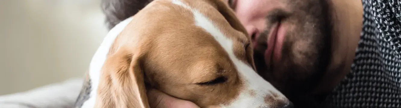 Soffio al cuore nei cani. Prevalenza nei giovani adulti sani