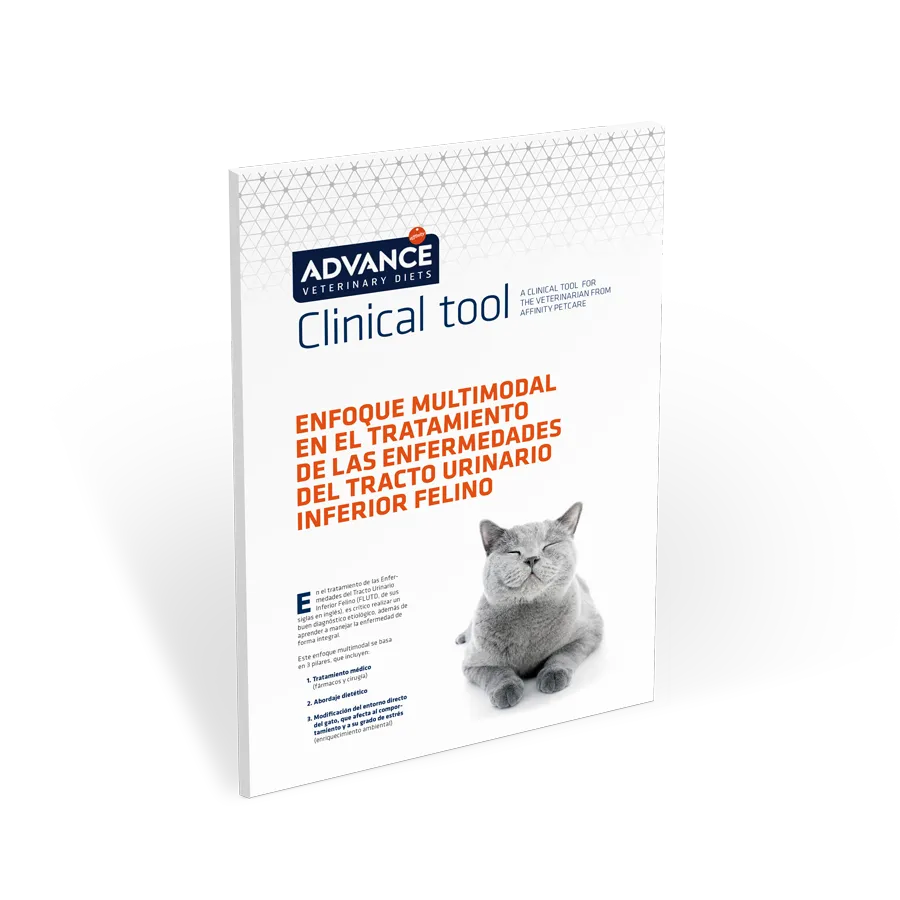 CT urinary CT urinary