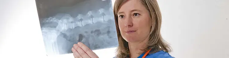 Alternative alla chirurgia veterinaria nell'osteoartrite