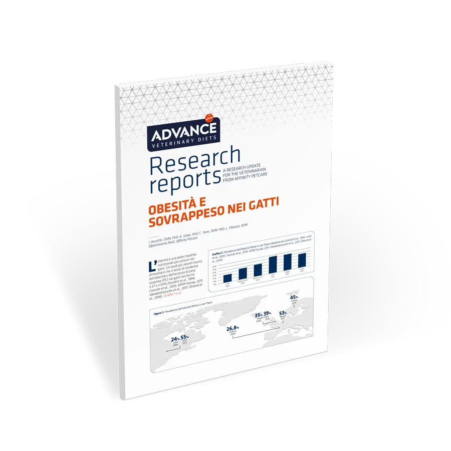 obesità-e-sovrappeso