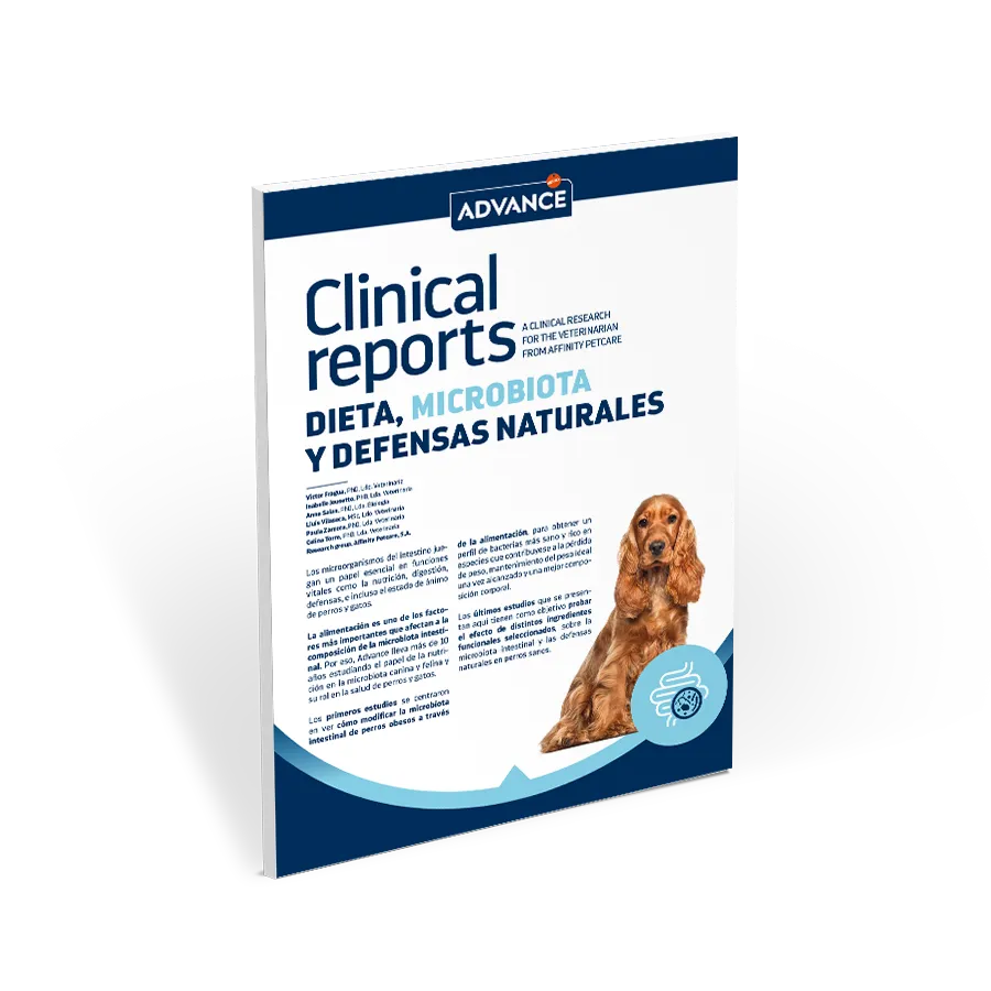 AFF - CR Microbiota - ficticio AFF - CR Microbiota - ficticio