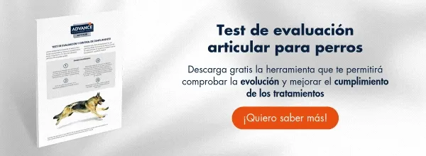 Ficha de evaluación: Movilidad articular del perro Ficha de evaluación: Movilidad articular del perro