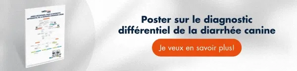 ↓Téléchargez gratuitement ici↓ Arbre décisionnel pour le diagnostic différentiel de la diarrhée chronique canine