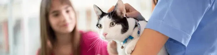 El manual de calidad: ¿qué son las encuestas Net Promoter Score?