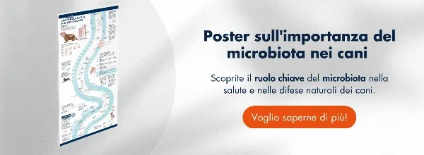 New call-to-action New call-to-action