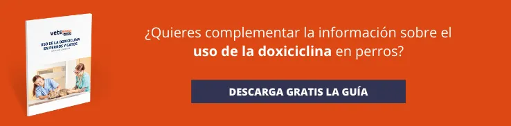 Guía uso de la doxiciclina en perros y gatos Guía uso de la doxiciclina en perros y gatos