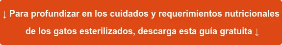 ↓ Para profundizar en los cuidados y requerimientos nutricionales de los gatos esterilizados, descarga esta guía gratuita ↓