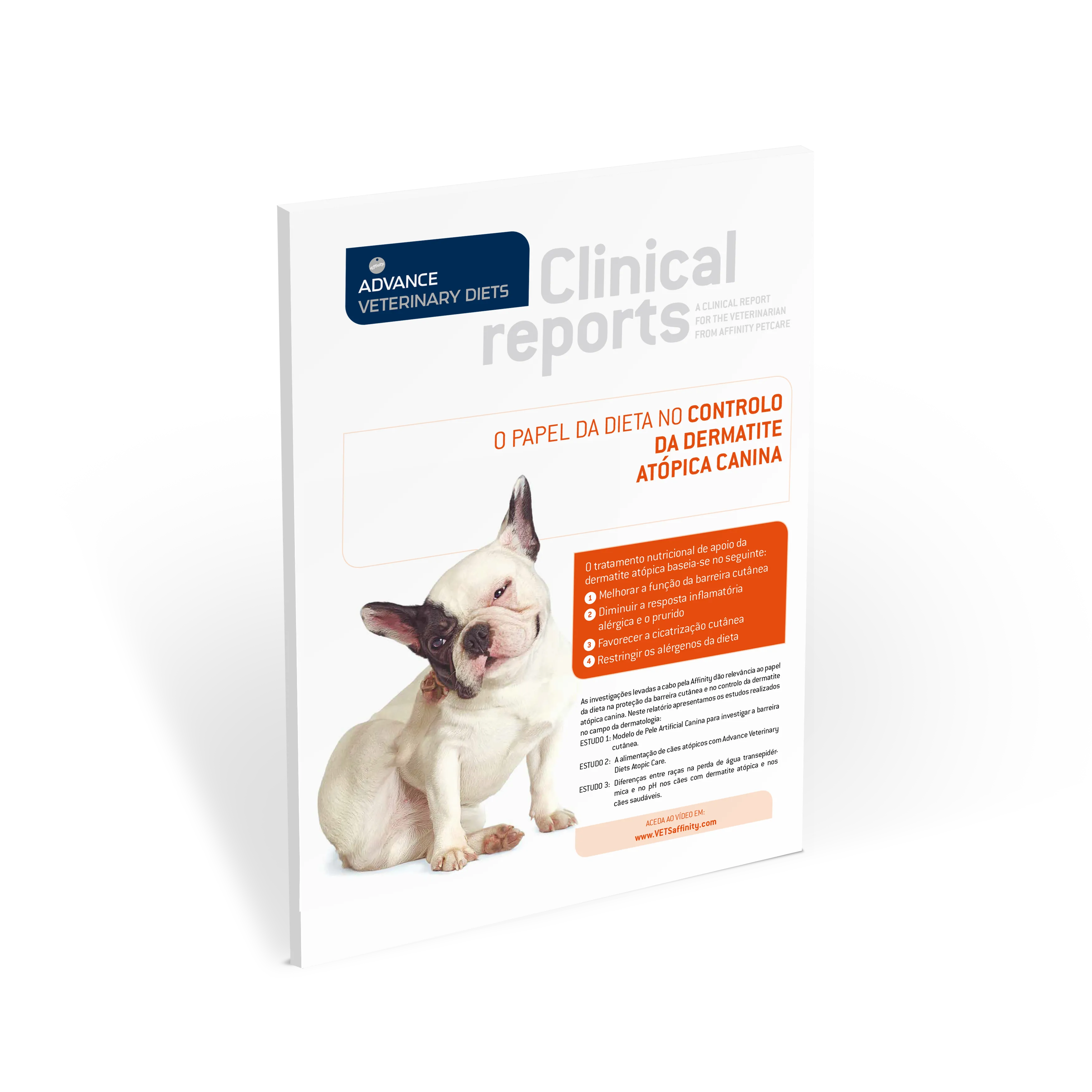 dermatite-atopica-canina