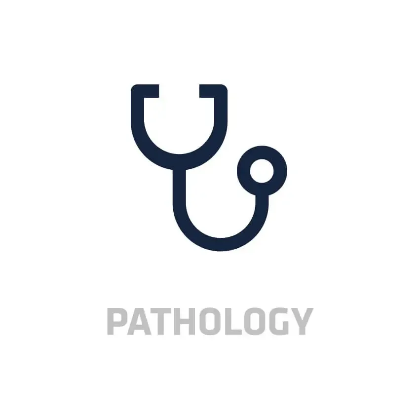 Intoxicación por metaldehído en perros: diagnóstico y tratamiento