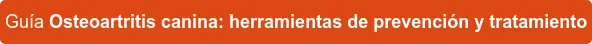 Guía Osteoartritis canina: herramientas de prevención y tratamiento