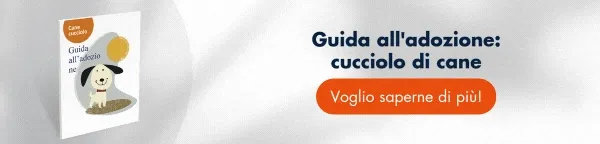 Scarica GRATIS → Guida all’adozione: Cane cucciolo Scarica GRATIS → Guida all’adozione: Cane cucciolo