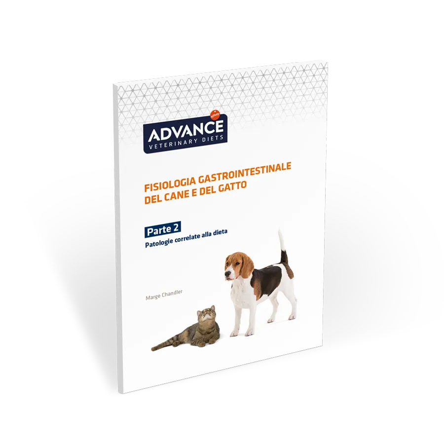 guida-fisiopatologia-gastrointestinale-parte-2