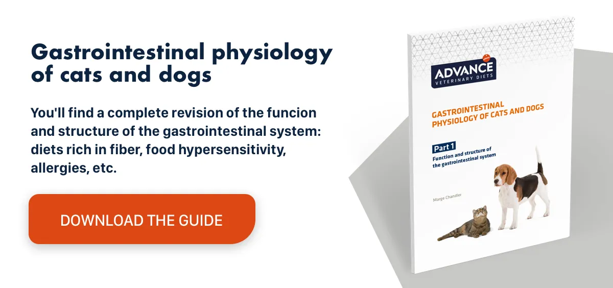 Discover the causes, effects, phases and medical treatment for urolithiasis in dogs. Download this veterinary Research Report for free! Discover the causes, effects, phases and medical treatment for urolithiasis in dogs. Download this veterinary Research Report for free!