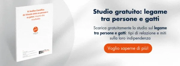 Nuevo llamado a la acción Nuevo llamado a la acción
