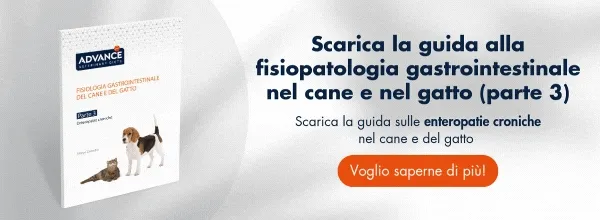 Nuevo llamado a la acción