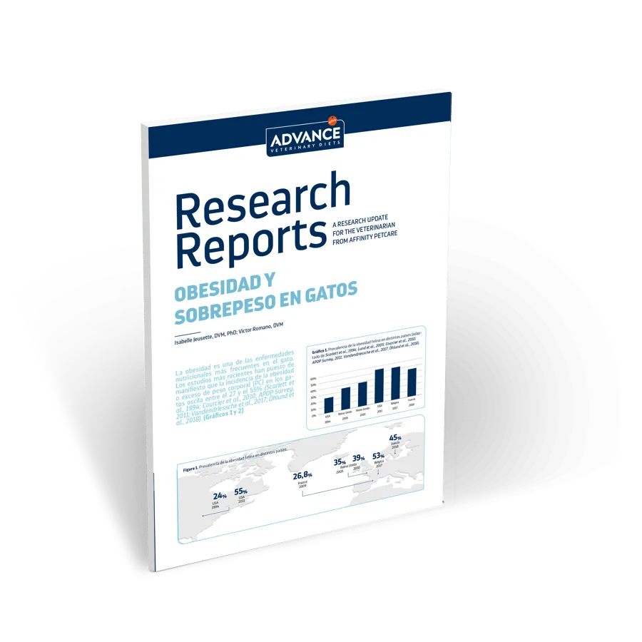 obesidad-y-sobrepeso