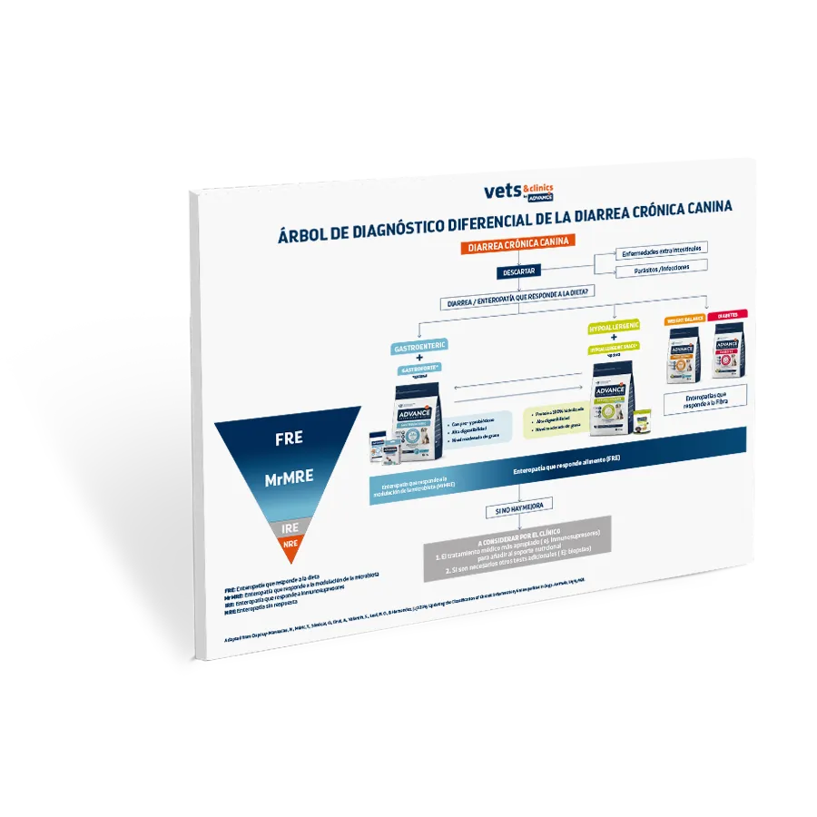 miniaturas_ArbolDiarreaCronica_ES (1) miniaturas_ArbolDiarreaCronica_ES (1)