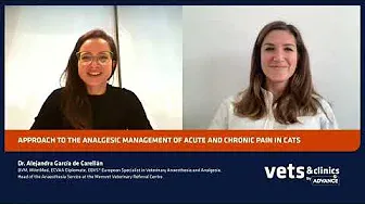 11. INT - Approach to the analgesic management of acute and chronic pain in cats